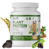 Inlife Plant Protein Powder - Pea | Quinoa & Brown Rice - 25G Protein (Cookies & Cream | 1Kg)