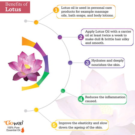 Go Woo 100% Pure Fragrances Undiluted Virgin White Lotus Oil 50 Ml