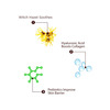 The Skin Story Aqua Boost Water Based Moisturizer With Hyaluronic Acid For Pores | Oily Skin 50Ml