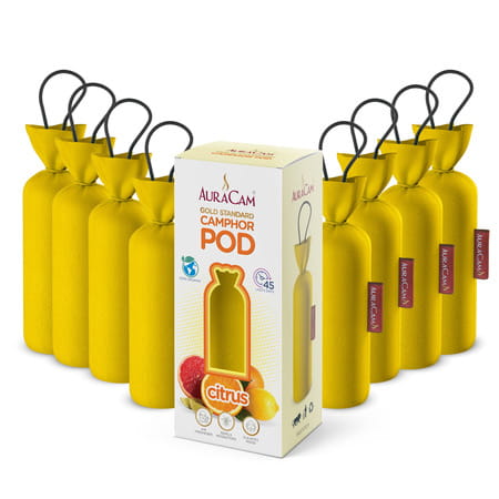 Auracam Gold Standard Camphor Pod Cone Citrus- Set Of 8