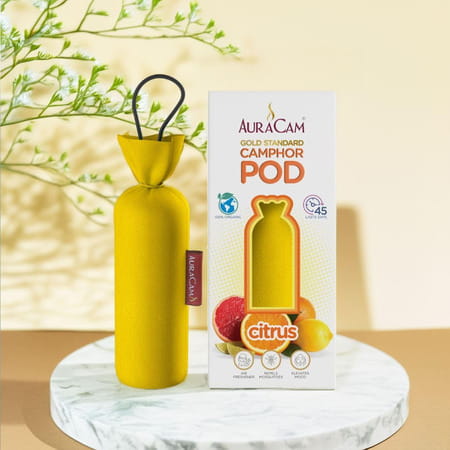 Auracam Gold Standard Camphor Pod Cone Citrus- Set Of 8