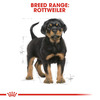Royal Canin Rottweiler Puppy Food | 12 Kg | Dry Food