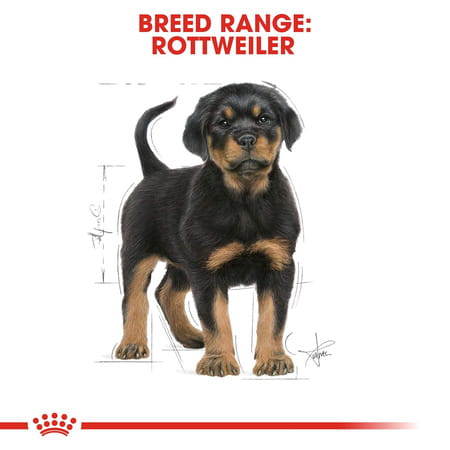 Royal Canin Rottweiler Puppy Food | 12 Kg | Dry Food