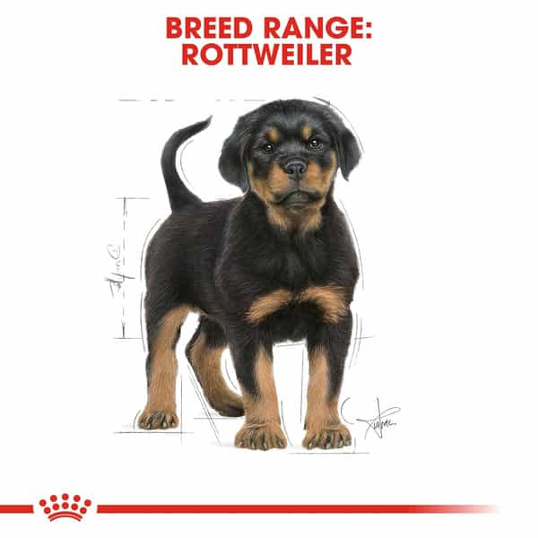 Royal Canin Rottweiler Puppy Food | 12 Kg | Dry Food