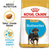 Royal Canin Rottweiler Puppy Food | 12 Kg | Dry Food