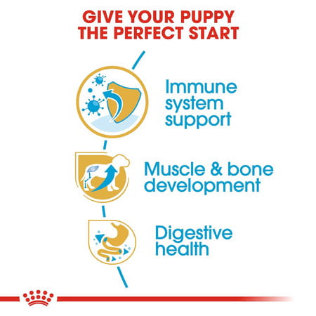 Royal Canin Rottweiler Puppy Food | 12 Kg | Dry Food