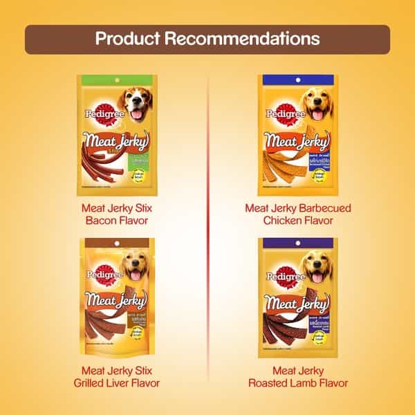 Pedigree Meat Jerky Adult Dog Treat Grilled Liver 80G Pouch