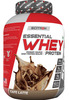 Scitron Essential Whey Protein Isolate|24G Protein, 5G Bcaas, Digezyme, Post Workout|Cafe Latte|2Kg