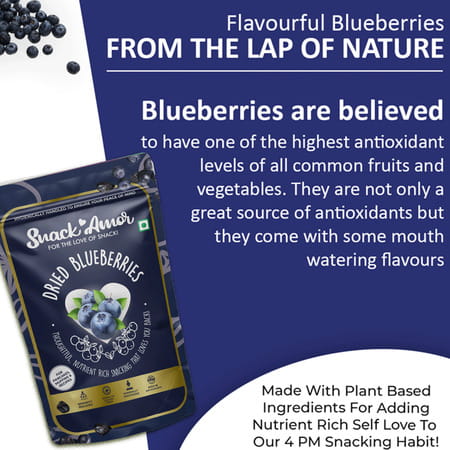 Snackamor Dried Blueberry 100g Pouch