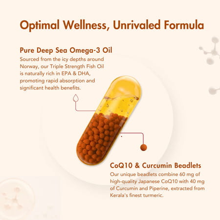 Wishnew Wellness Daily Ritual With Triple Strength Fish Oil&Coq-10 For Heart&Brain Health Pack Of 2