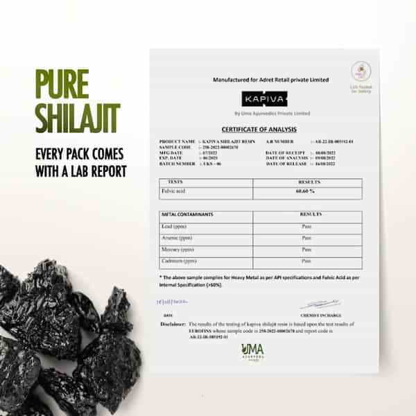 Kapiva Himalayan Shilajit/Shilajeet Resin 40G - For Endurance And Stamina