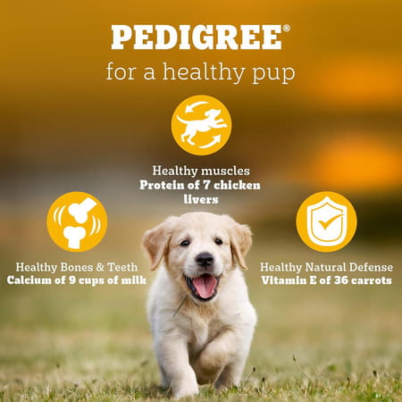 Pedigree Dog Food Puppy Chicken & Milk 10 Kg