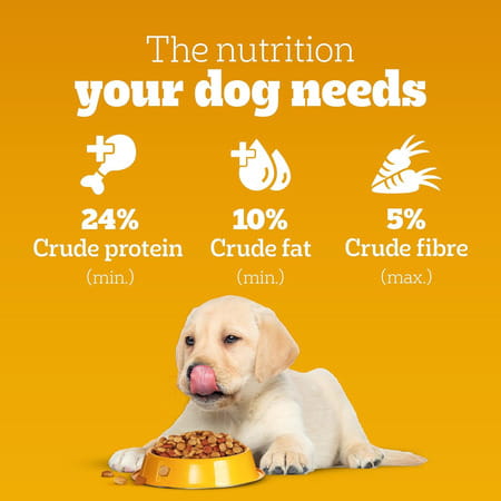 Pedigree Dog Food Puppy Chicken & Milk 10 Kg