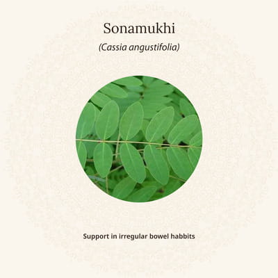 View product image 5