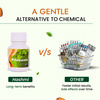 Hashmi Pilepsole Capsule : A Complete Ayurvedic Treatment For Piles 20 Capsules