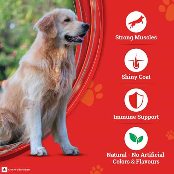 Purina Supercoat Adult Dry Dog Food | Chicken- 10Kg Pack