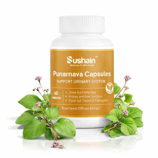Sushain Punarnava Extract Capsules For Uti Kidney And Liver Care Bottle Of 60 Qty