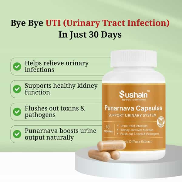 Sushain Punarnava Extract Capsules For Uti Kidney And Liver Care Bottle Of 60 Qty