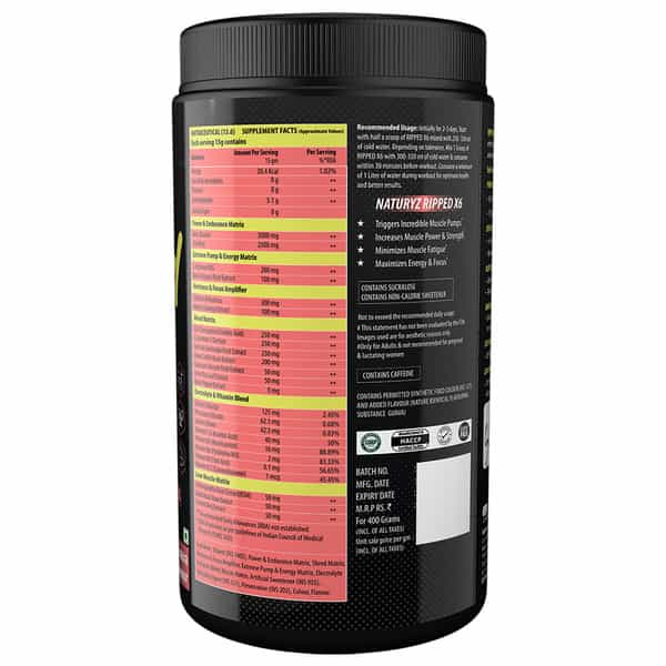 Naturyz Ripped X6 Pre Workout Supplement With 24 Nutrients For Extreme Pump | Endurance (400 Grams)