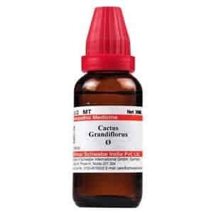 Dr. Willmar Schwabe India Cactus Grandiflorus Mother Tincture Q 30 Ml