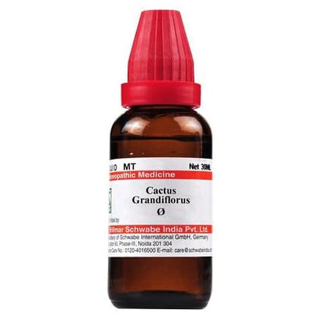 Dr. Willmar Schwabe India Cactus Grandiflorus Mother Tincture Q 30 Ml