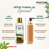 Goodcare Root Boost Hair Oil Rosemary | Men Women | Hair Growth | 100 Ml | Pack Of 1