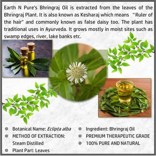 Earth N Pure Bhringraj Oil (250 Ml)