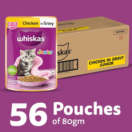 Whiskas Junior Kitten (2-12 Months) Wet Cat Food | Chicken In Gravy | 80 G (Pack Of 56)