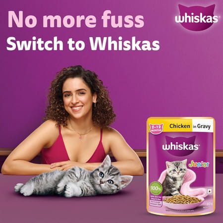 Whiskas Junior Kitten (2-12 Months) Wet Cat Food | Chicken In Gravy | 80 G (Pack Of 56)