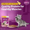 Whiskas Junior Kitten (2-12 Months) Wet Cat Food | Chicken In Gravy | 80 G (Pack Of 56)