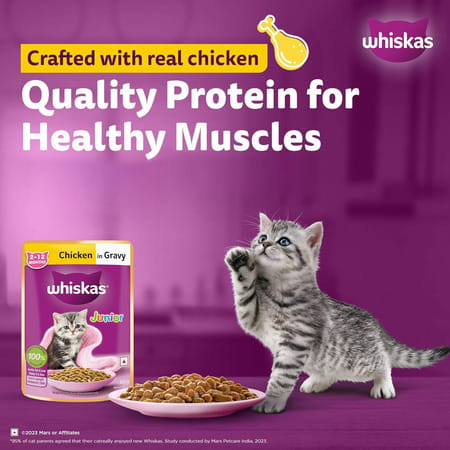 Whiskas Junior Kitten (2-12 Months) Wet Cat Food | Chicken In Gravy | 80 G (Pack Of 56)