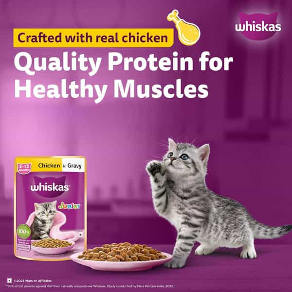 Whiskas Junior Kitten (2-12 Months) Wet Cat Food | Chicken In Gravy | 80 G (Pack Of 56)