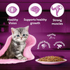 Whiskas Junior Kitten (2-12 Months) Wet Cat Food | Chicken In Gravy | 80 G (Pack Of 56)