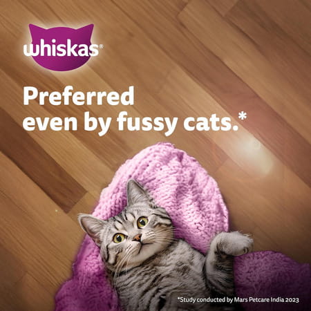 Whiskas Junior Kitten (2-12 Months) Wet Cat Food | Chicken In Gravy | 80 G (Pack Of 56)