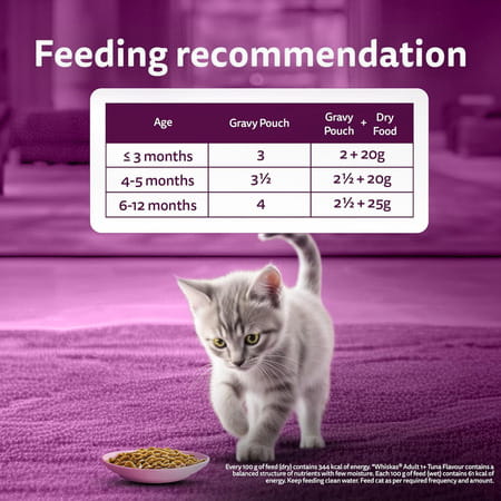 Whiskas Junior Kitten (2-12 Months) Wet Cat Food | Chicken In Gravy | 80 G (Pack Of 56)