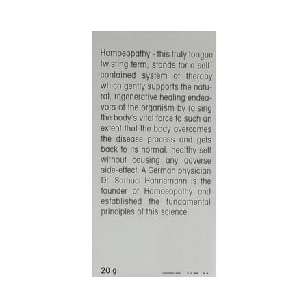 Dr. Reckeweg Pancreatinum 3x (20g)