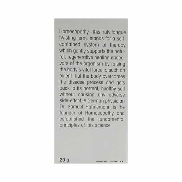 Dr. Reckeweg Pancreatinum 3X (20G)