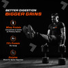 Fuelone Whey Max Protein Blend | Mango | 1Kg (2.2Lbs) | 27G Protein Per Scoop
