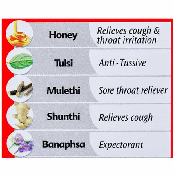 Dabur Honitus Herbal Cough Remedy 100Ml With 4G Hot Sip Sachet Free