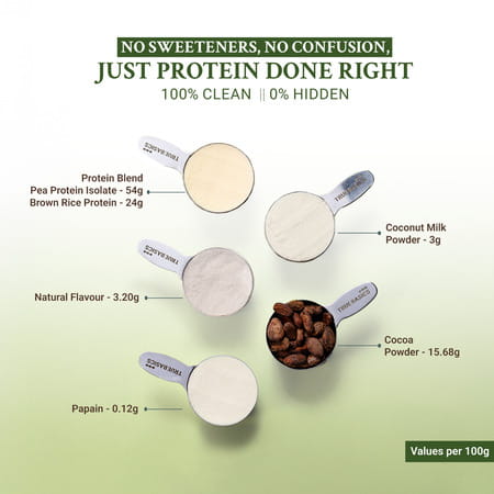 Truebasics Clean Plant Protein Powder Brown Rice + Pea Protein (Chocolate 1kg) | 24g Protein