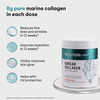 Hk Vitals Korean Marine Collagen Supplement (Orange | 250G)