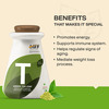 Myfitfuel Green Tea Extract (90% Polyphenols | 42.5% Egcg) With Piperine 95% | (600Mg) | 90 Capsules