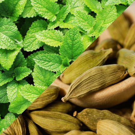 Staycool Breath Freshener Spray - Spearmint Cardamom - Pack Of 2