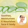 Boroplus Aloe Gel Haldi Chandan Kesar Moisturizer Tube Of 60 Ml