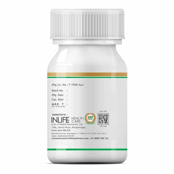 Inlife Wheat Germ Oil Supplement 500 Mg - 60 Liquid Filled Capsules (2 Pack) (2 X 60)