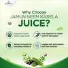 Micro Wellness Jamun Neem Karela Juice 1 L X Pack Of 2