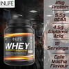 Inlife Whey Protein Isolate Concentrate Hydrolysate Powder For Men & Women (400G | Cafe Mocha)