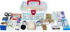 Wiggles Emergency Care Kit (Dogs & Cats)