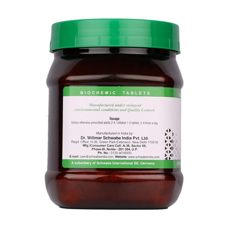 Dr. Willmar Schwabe India Kali Phosphoricum 6x 550gm