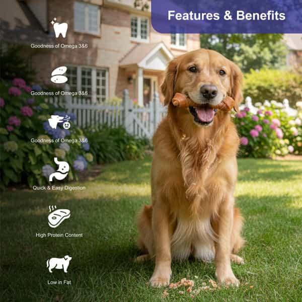 Snackers Non Rawhide Chews Bone Natural Dog Treats | 225 G